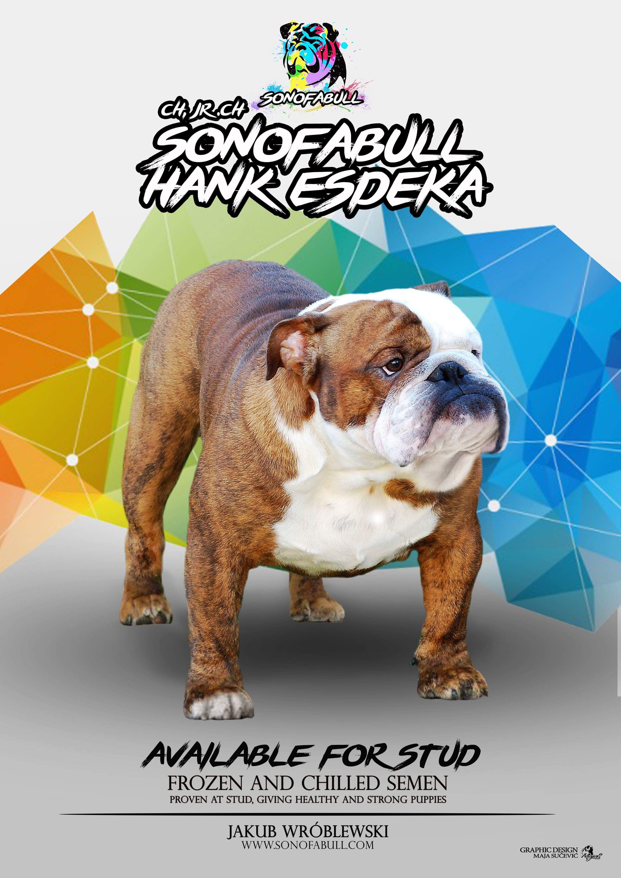 Collectibulldogs 1st Endorsement Bullish Magazine 2018 13 Endorsement