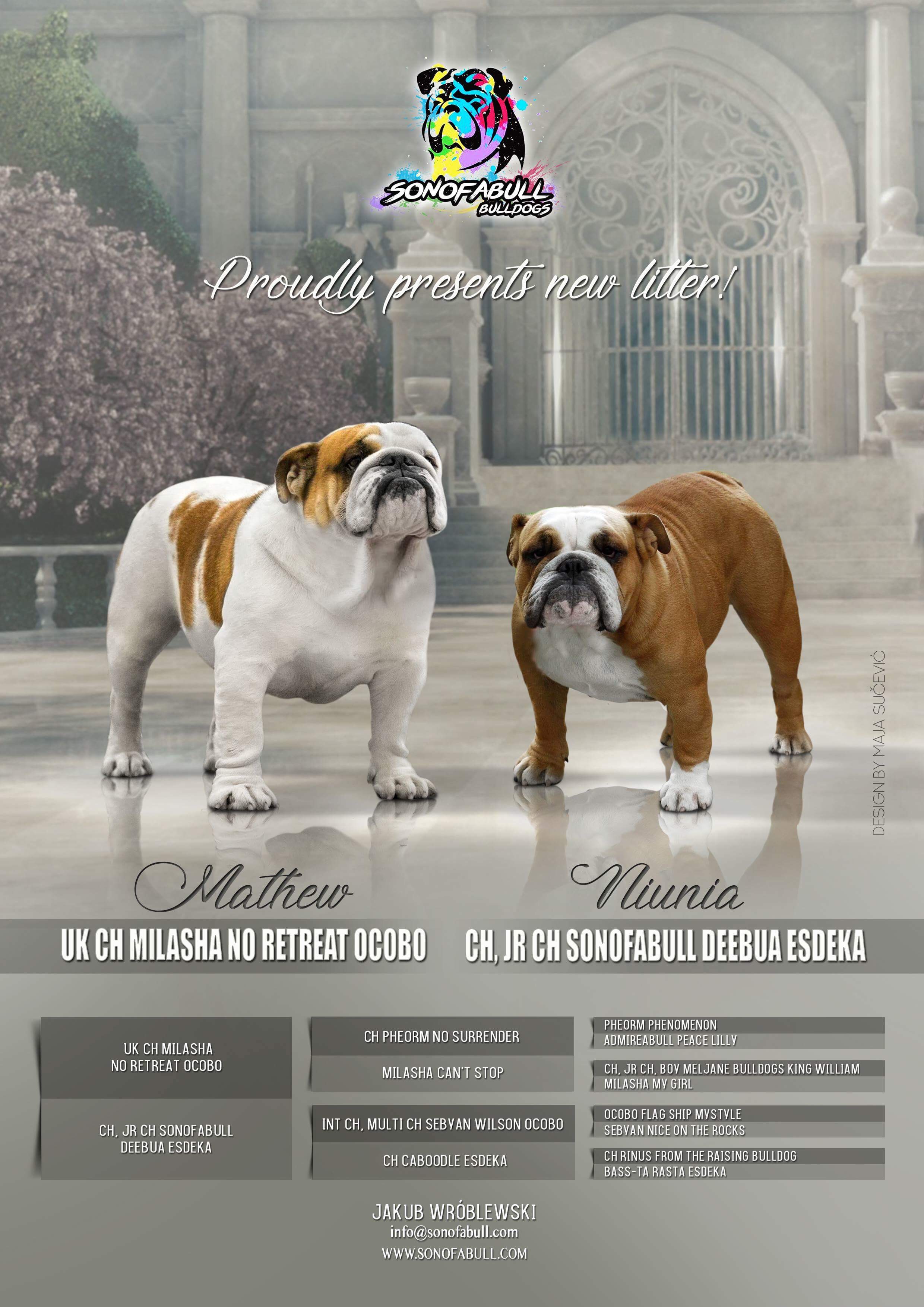 Collectibulldogs 1st Endorsement Bullish Magazine 2018 14 Endorsement