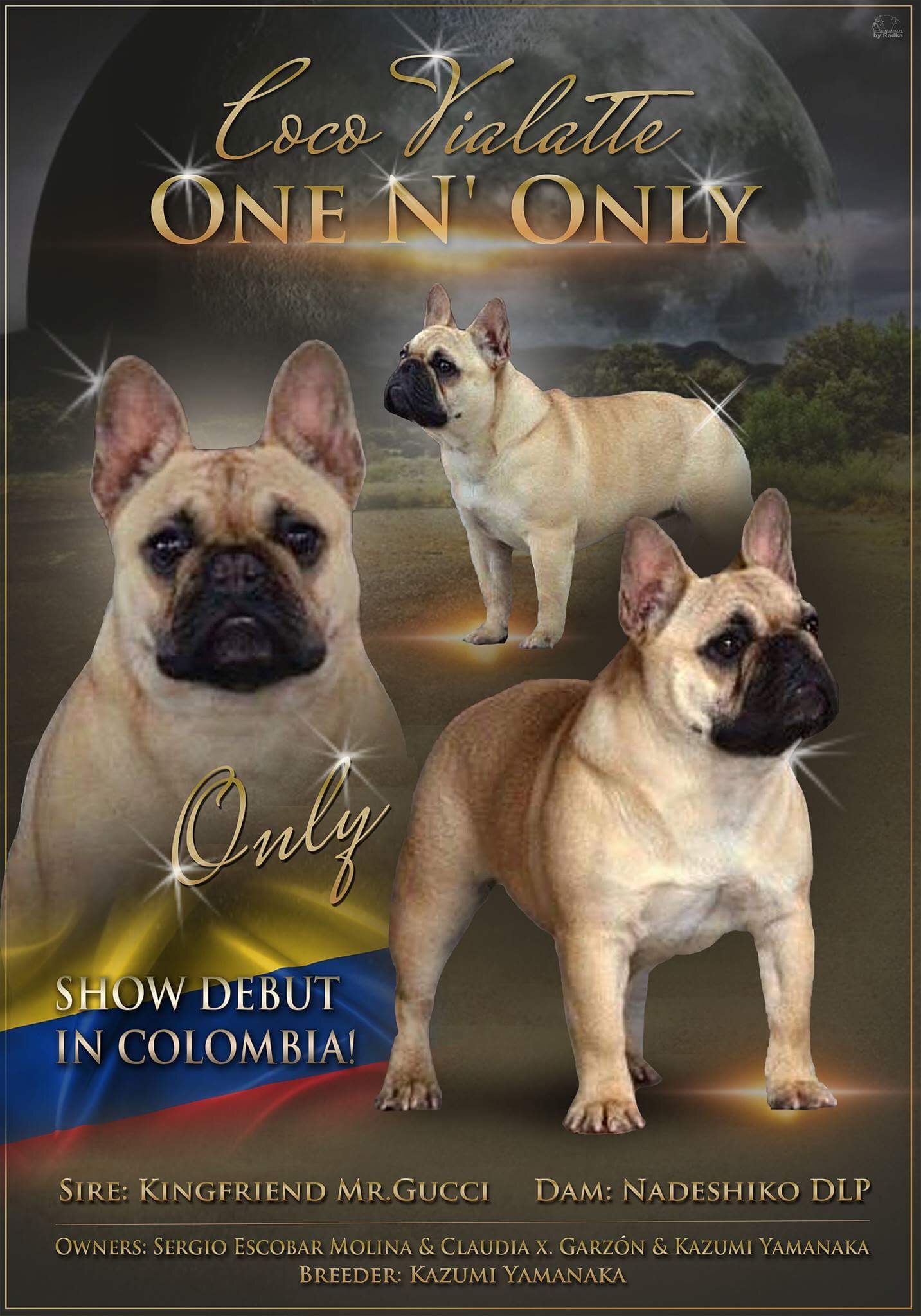 Collectibulldogs 1st Endorsement Bullish Magazine 2018 16 Endorsement
