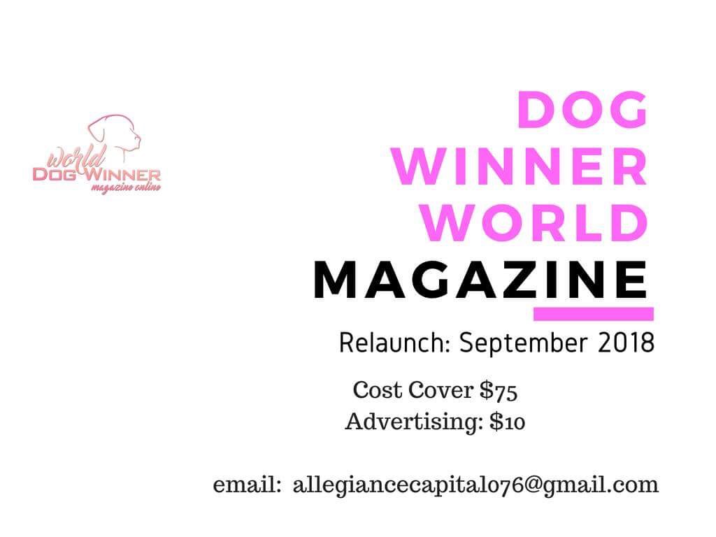 Magazine relaunch 