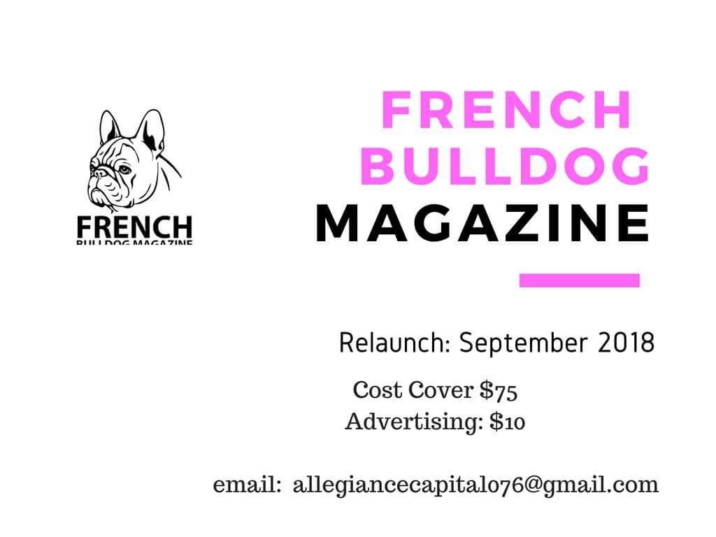 Magazine relaunch 