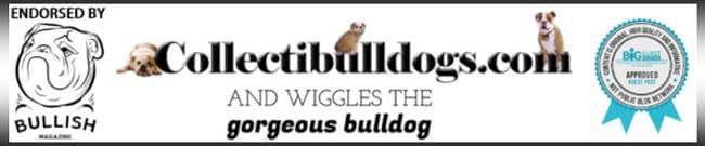 7.6B people 1.8B websites 1st Collectibulldogs 11 1st Collectibulldogs