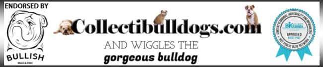 Collectibulldogs Domain Authority Rising Up