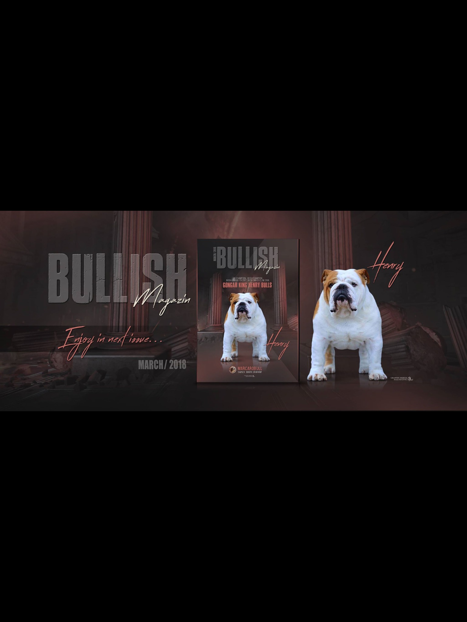 Collectibulldogs 1st Endorsement Bullish Magazine 2018 17 Endorsement