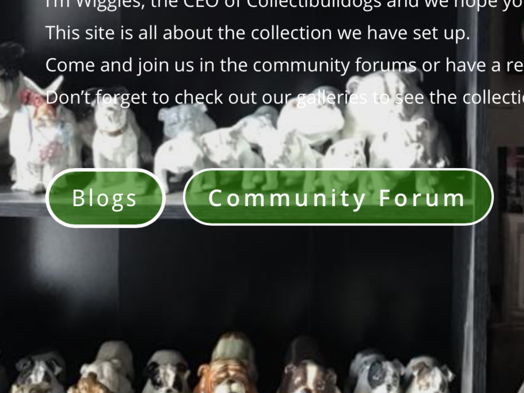 Collectibulldogs antiques new homepage 10 Homepage