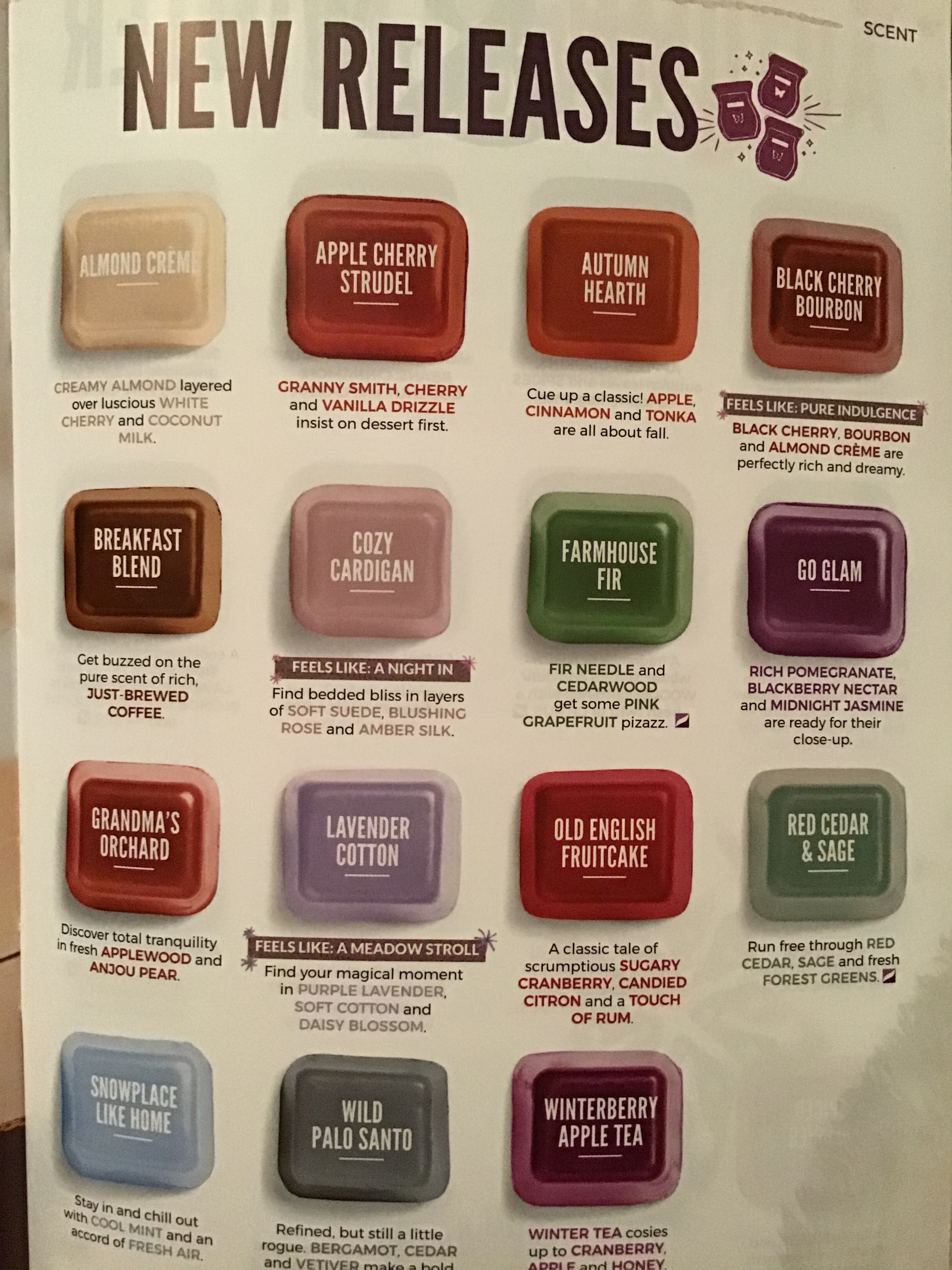 Scentsy Scentsy
