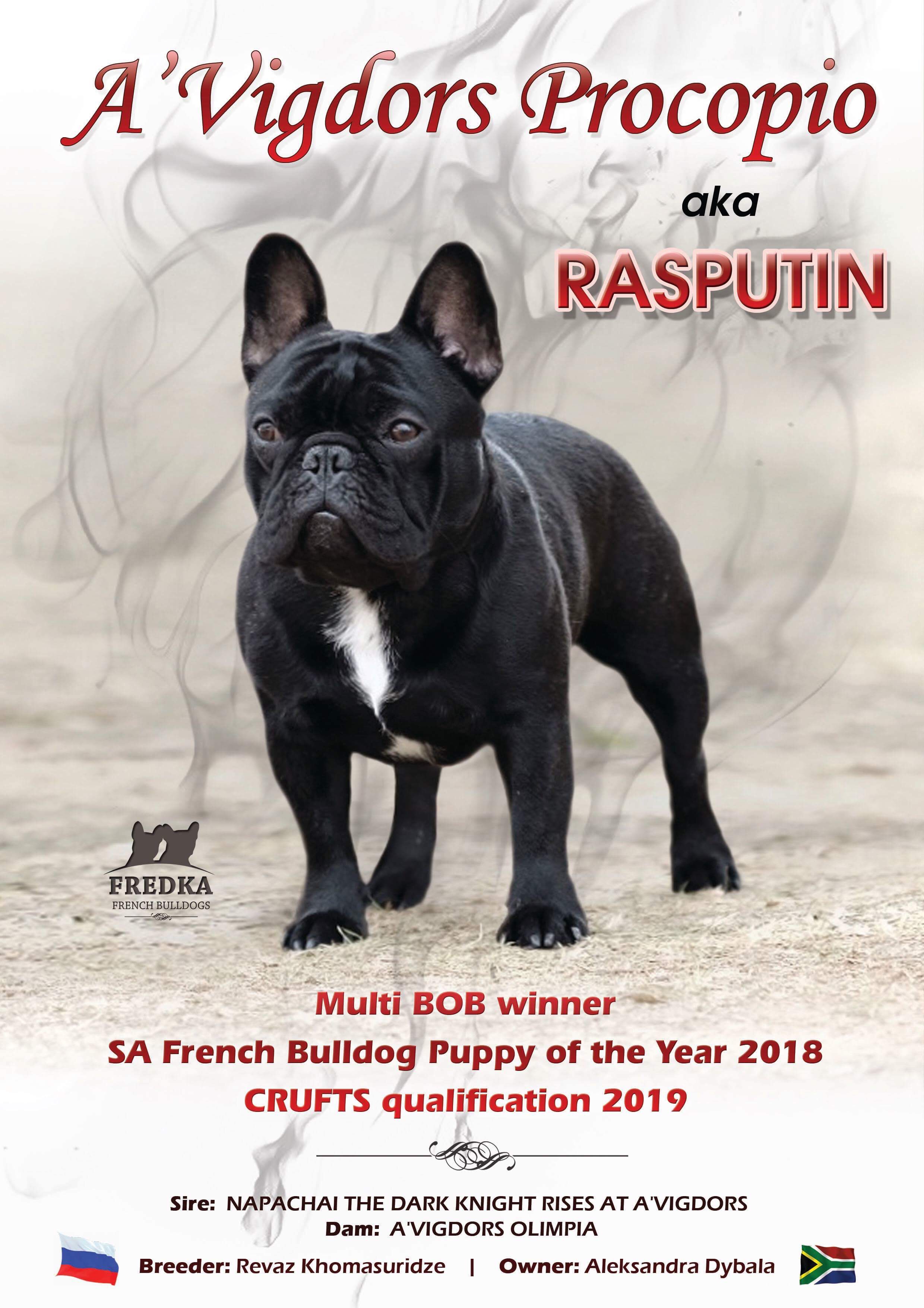 Endorsers Magazine relaunch September 2018 13 Magazine relaunch