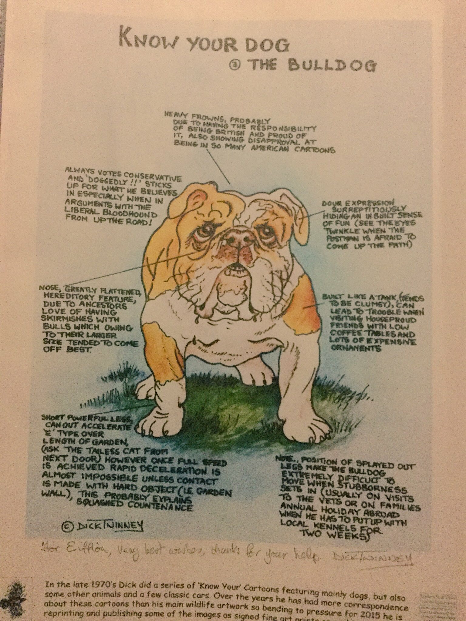 Bulldogs run Bulldogs run