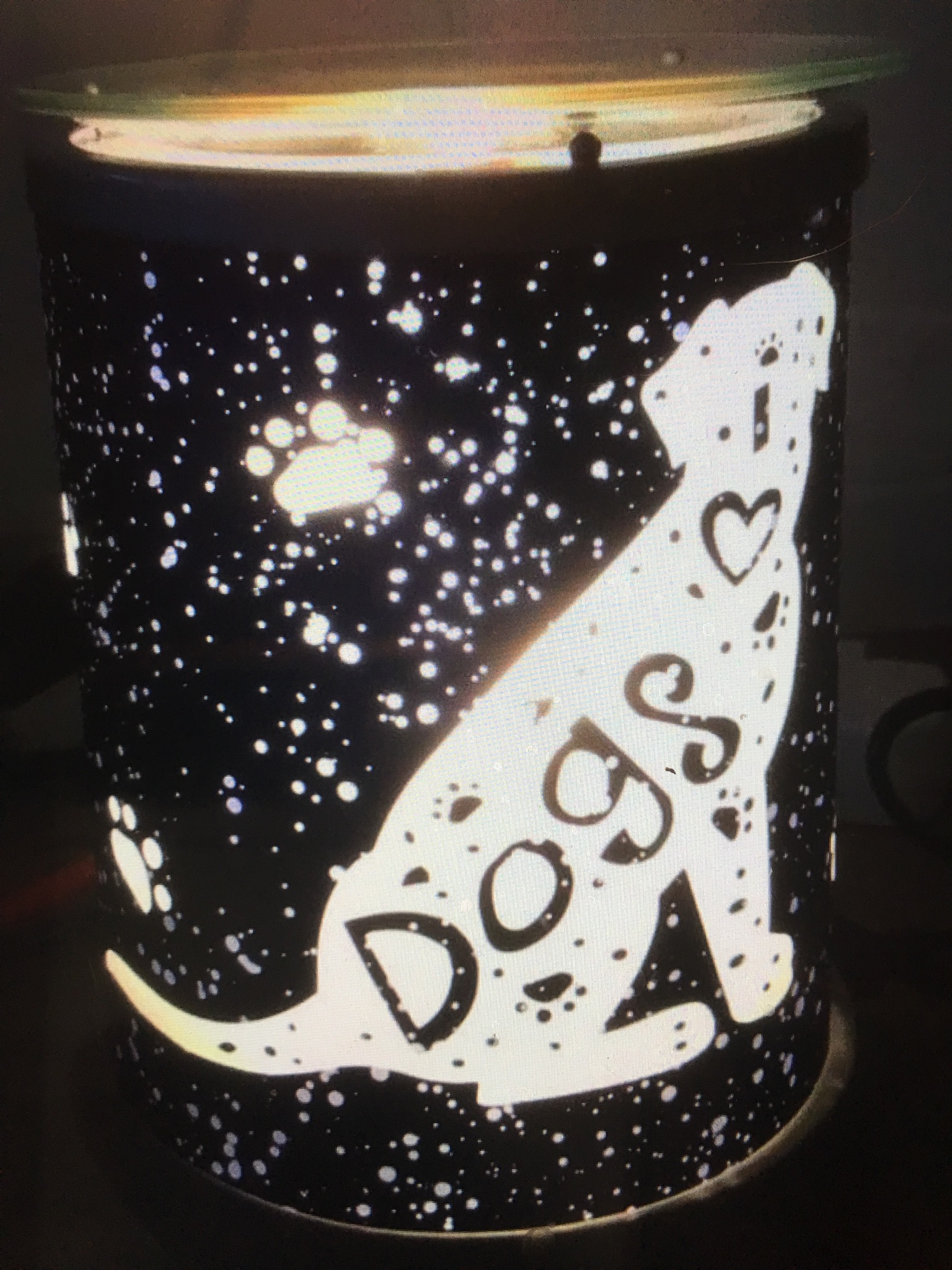 Scentsy Scentsy