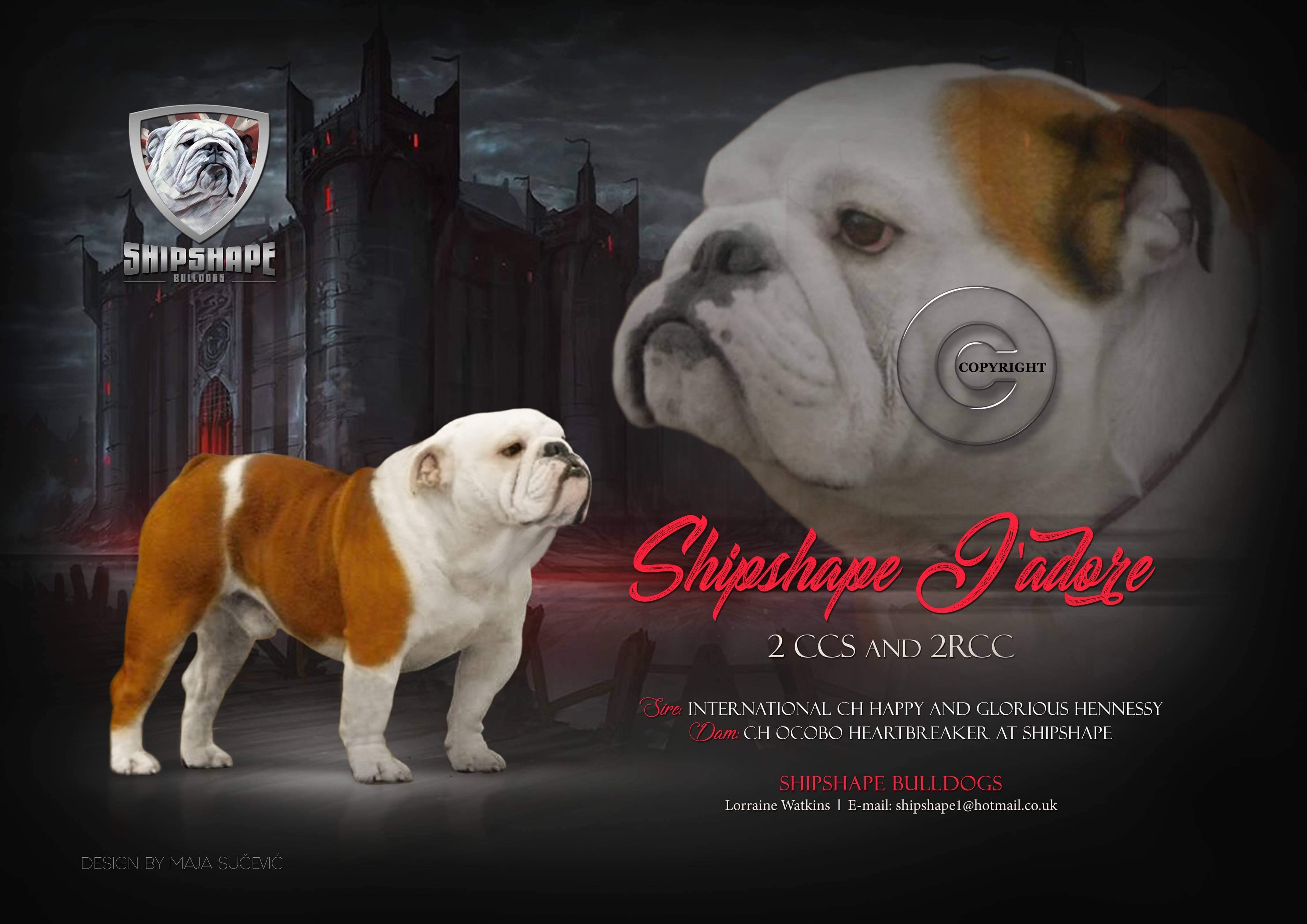 Collectibulldogs.com chit-chatting with Lorraine Watkins 7 Collectibulldogs