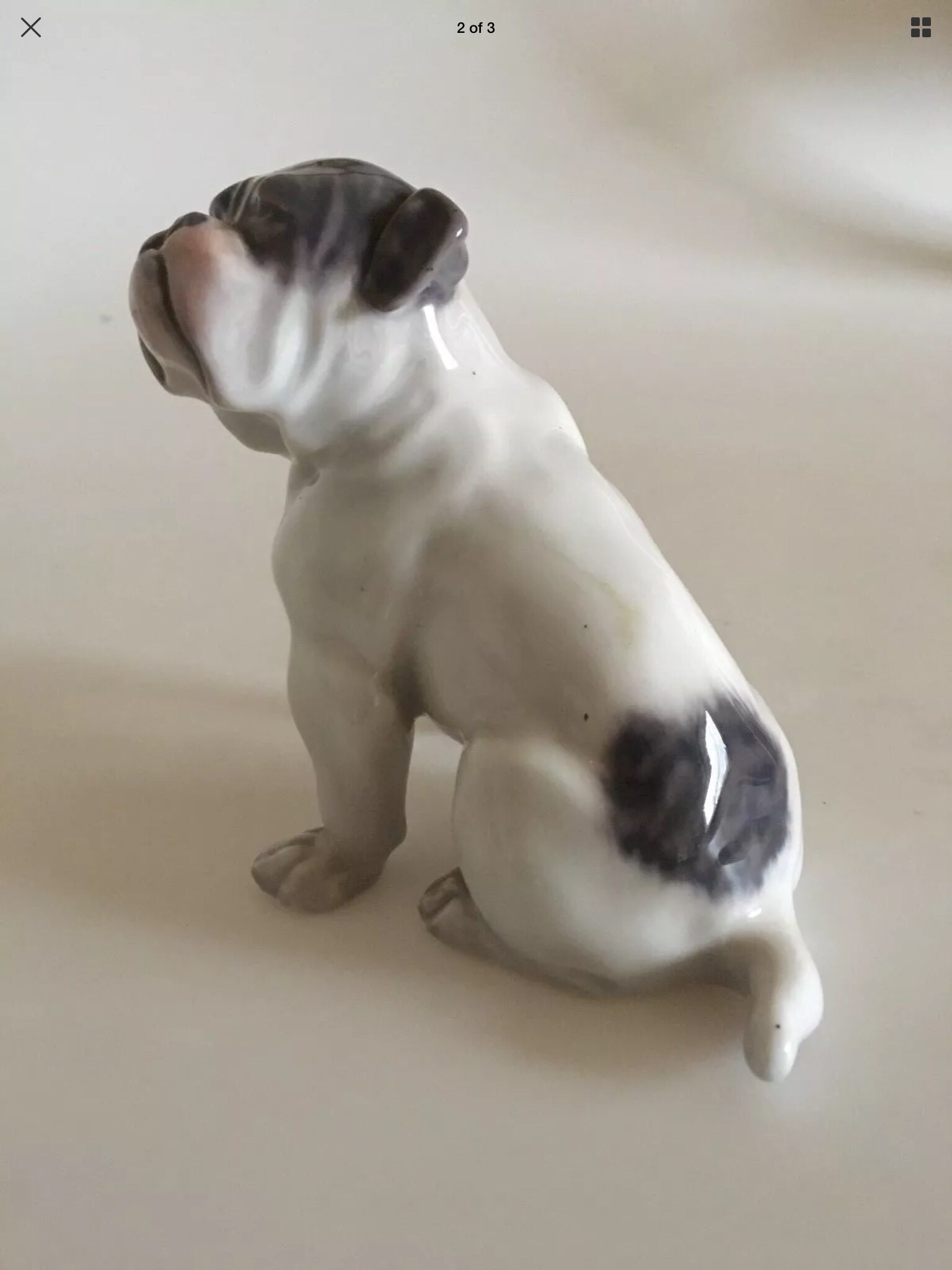 Bulldog club memorabilia collectibles 13 Collectibles