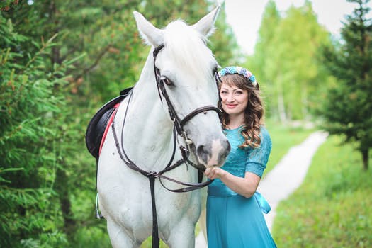 Hay ! Are you ready to get a horse yay or nay 3 Horse