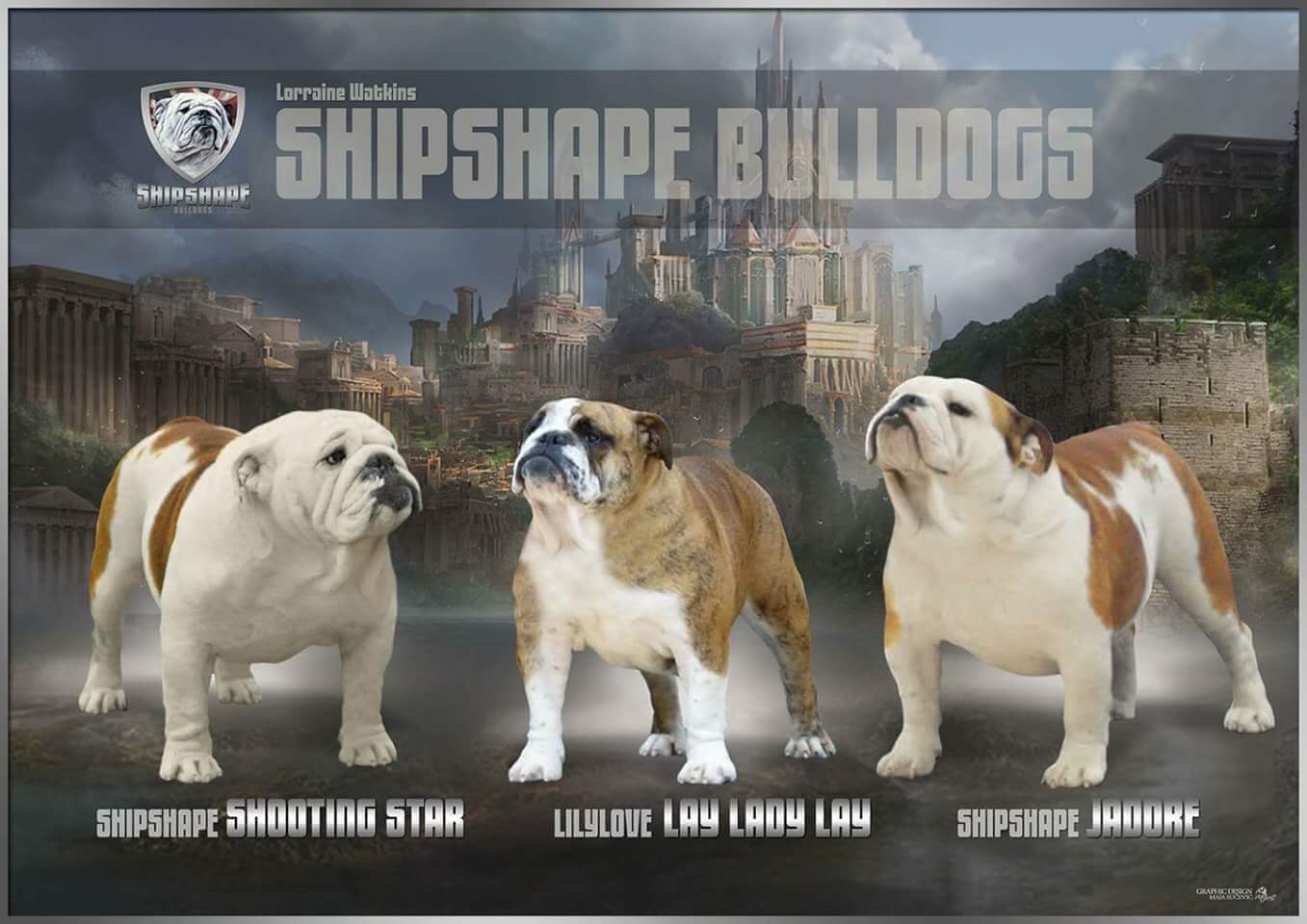 Collectibulldogs.com Collectibulldogs.com