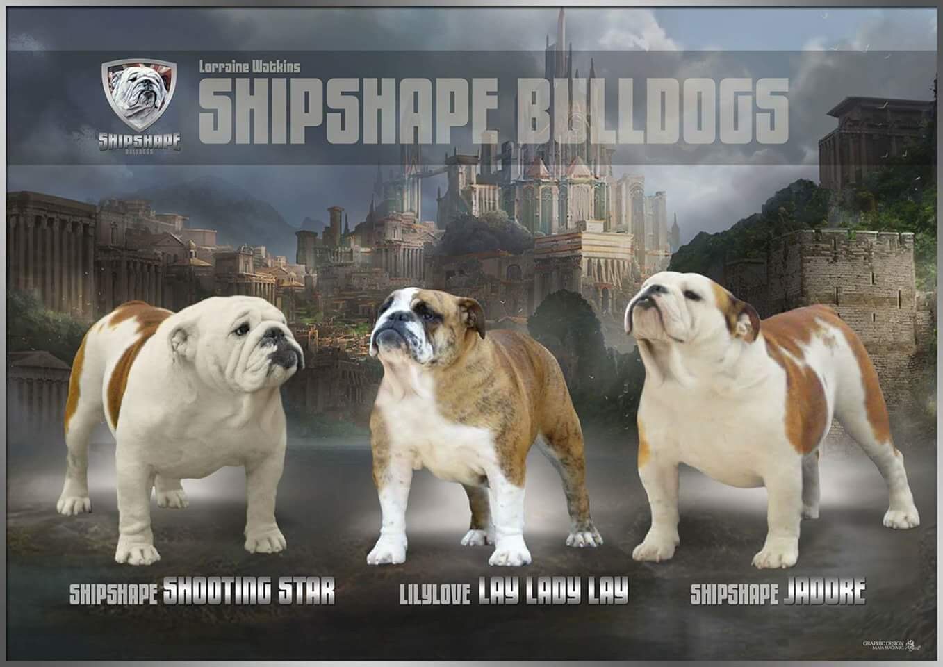 Collectibulldogs.com