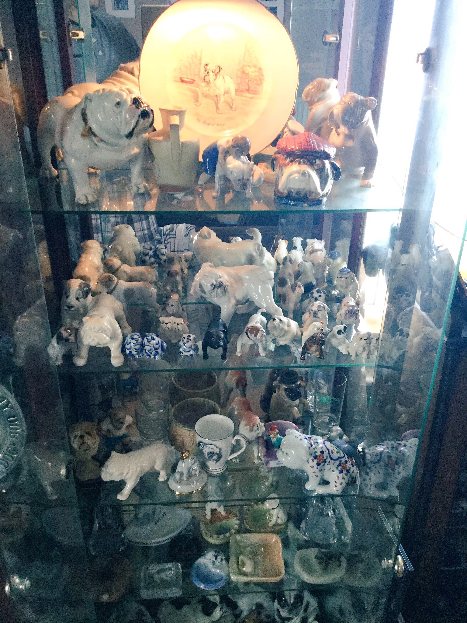 Proud of dad and he’s Bulldog collection 5 Proud