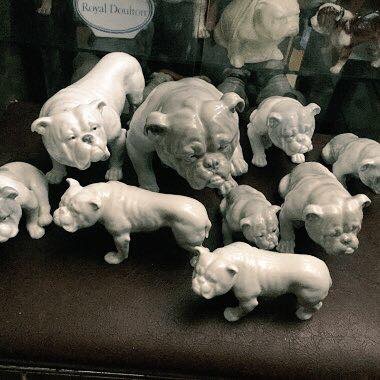 Bulldogs and collectibles Rebuilt nations 12 Collectibles