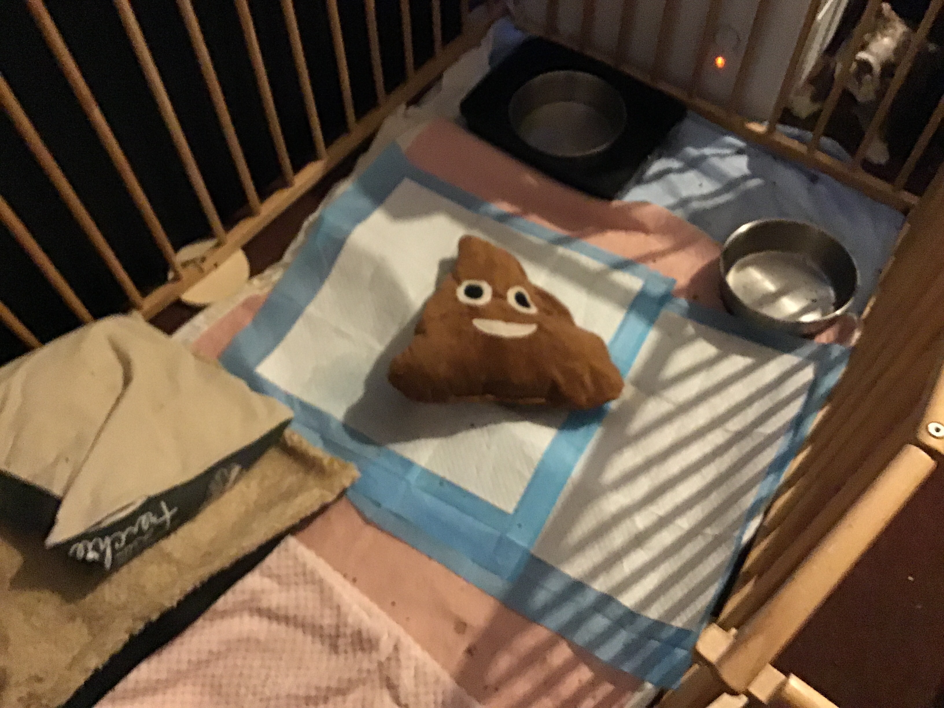 Poorly Bulldog wiggles life becomes Groundhog Day 11 Bulldog wiggles