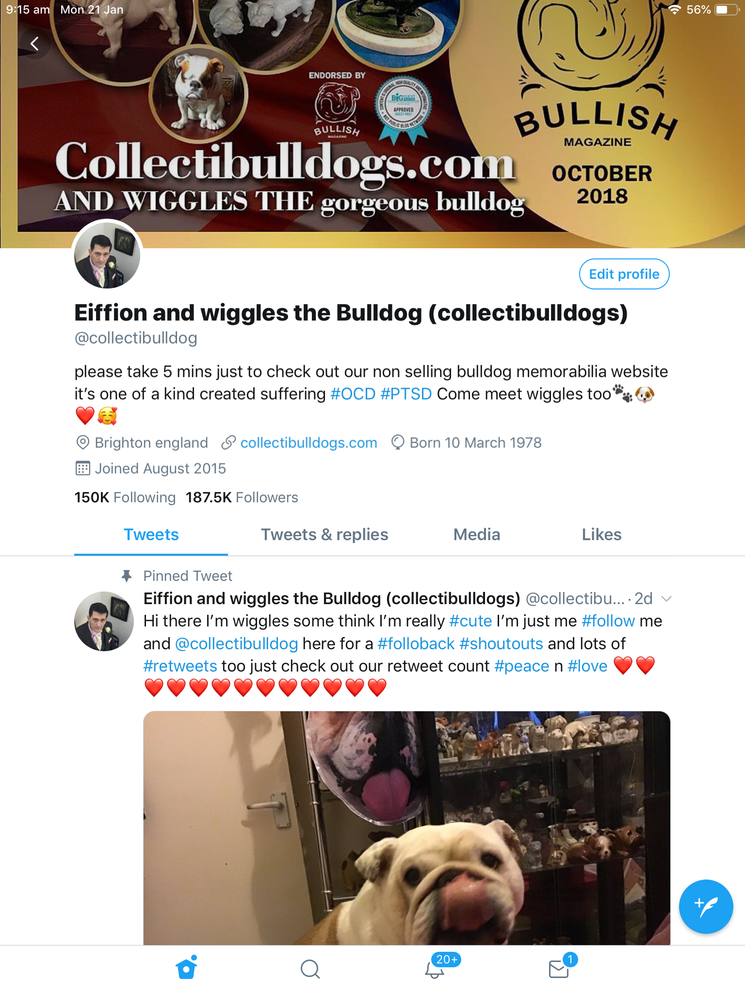 Twitter bulldog Twitter bulldog