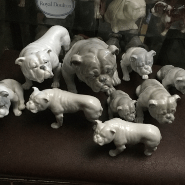 Collections within the Collectibulldogs collection Collections within the Collectibulldogs collection