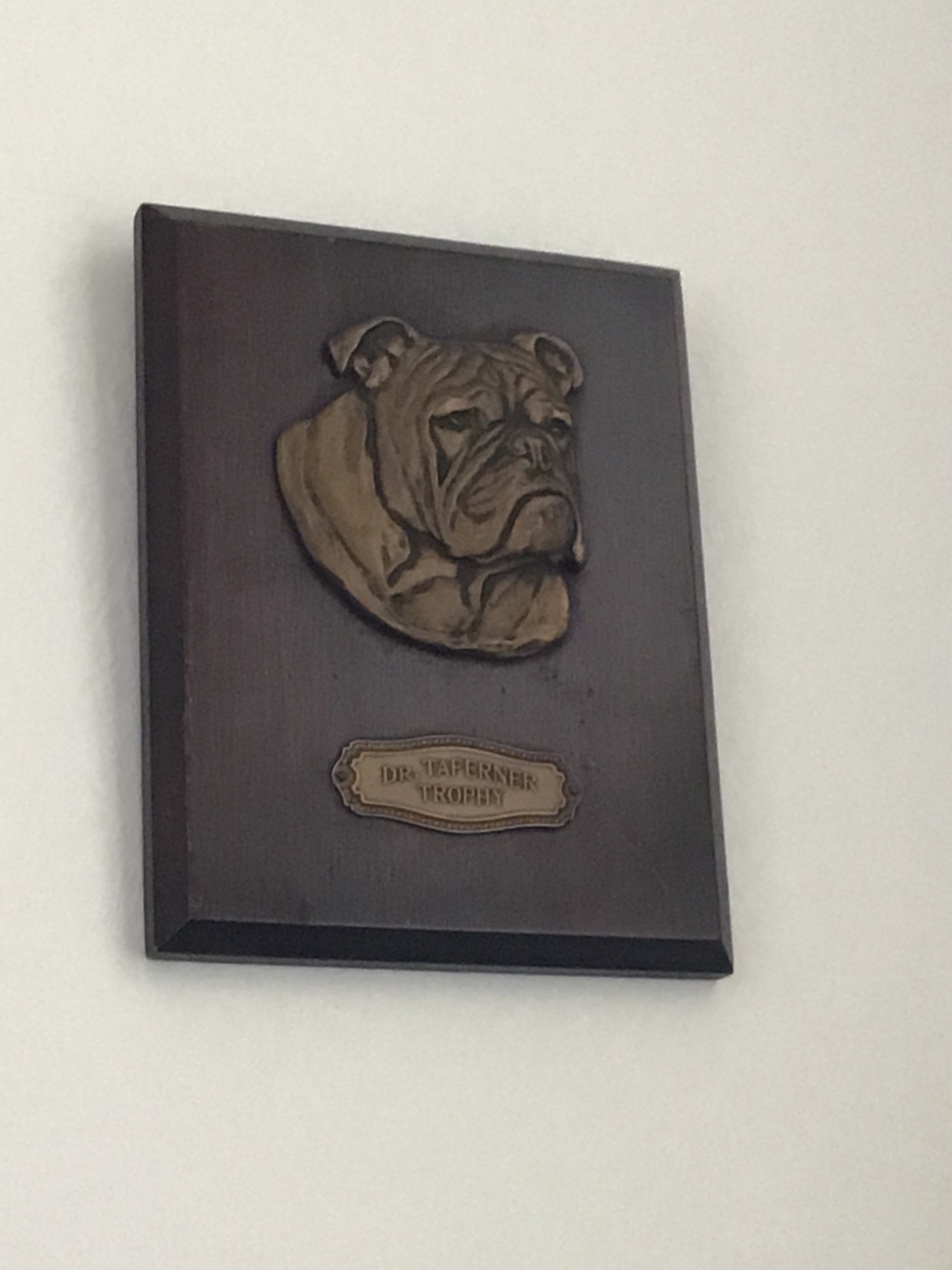 Heads up for more Bulldog memorabilia 28 Heads up for more Bulldog memorabilia