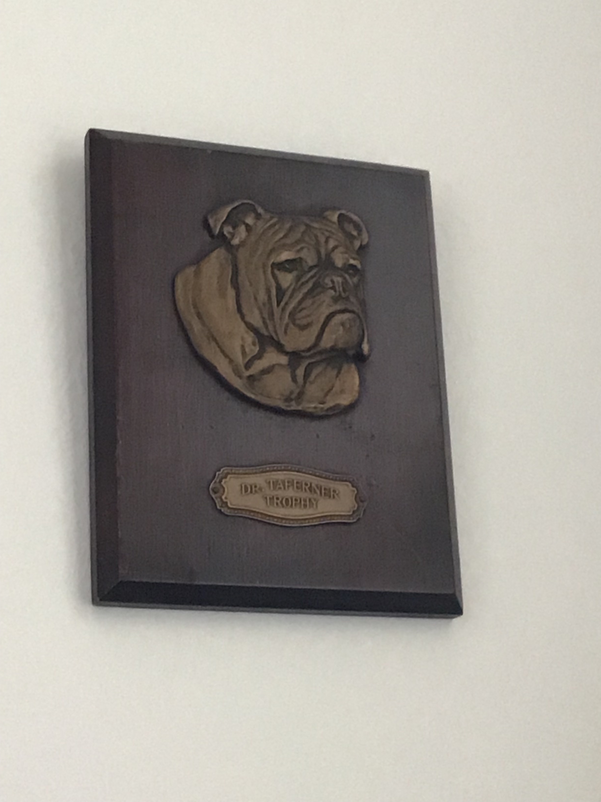 Heads up for more Bulldog memorabilia