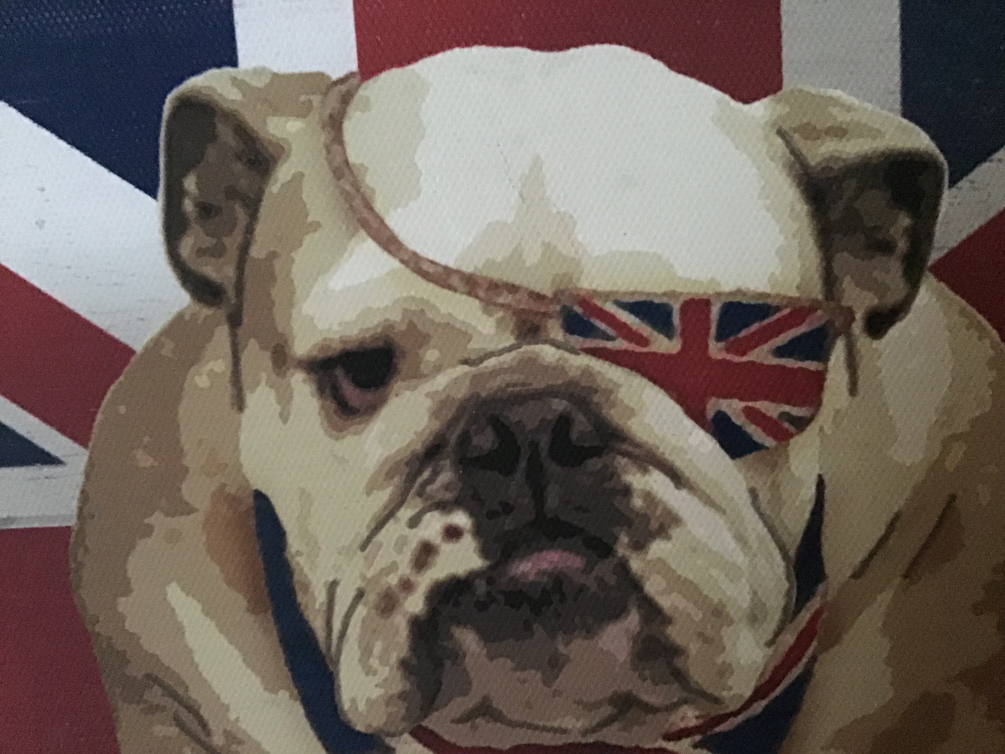 Heads up for more Bulldog memorabilia 