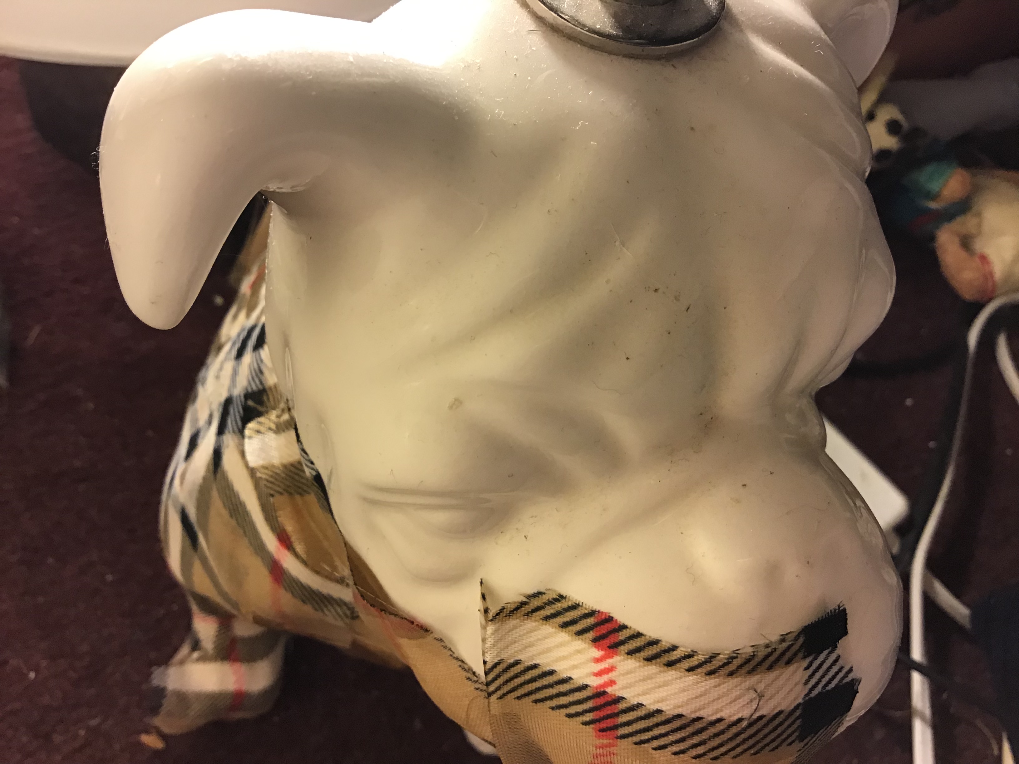 Burberry Bulldog to represent Britain’s Homeless 7 Burberry Bulldog to represent Britain’s Homeless