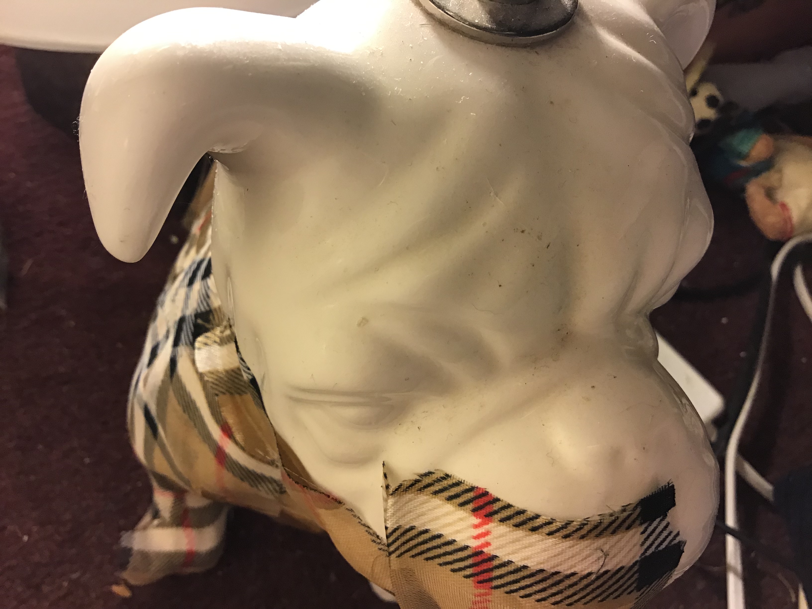 Burberry Bulldog to represent Britain’s Homeless 