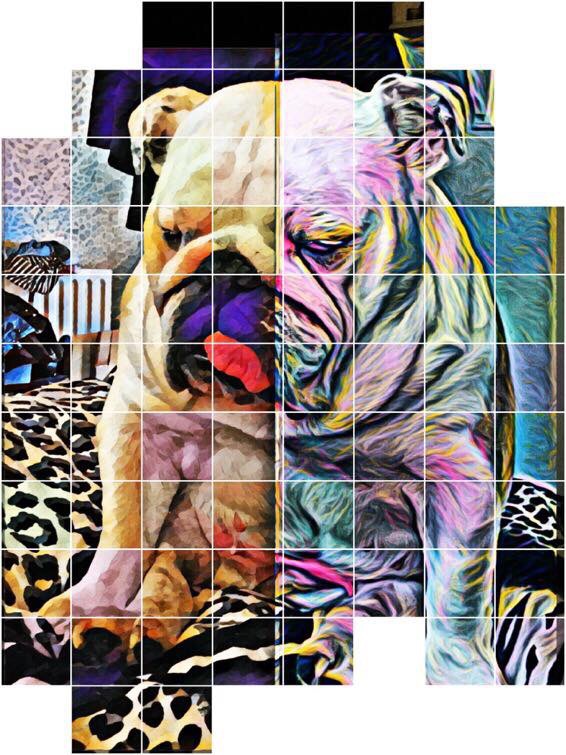 The Wiggles Bulldog Memorial Page 11 The wiggles bulldog memorial page