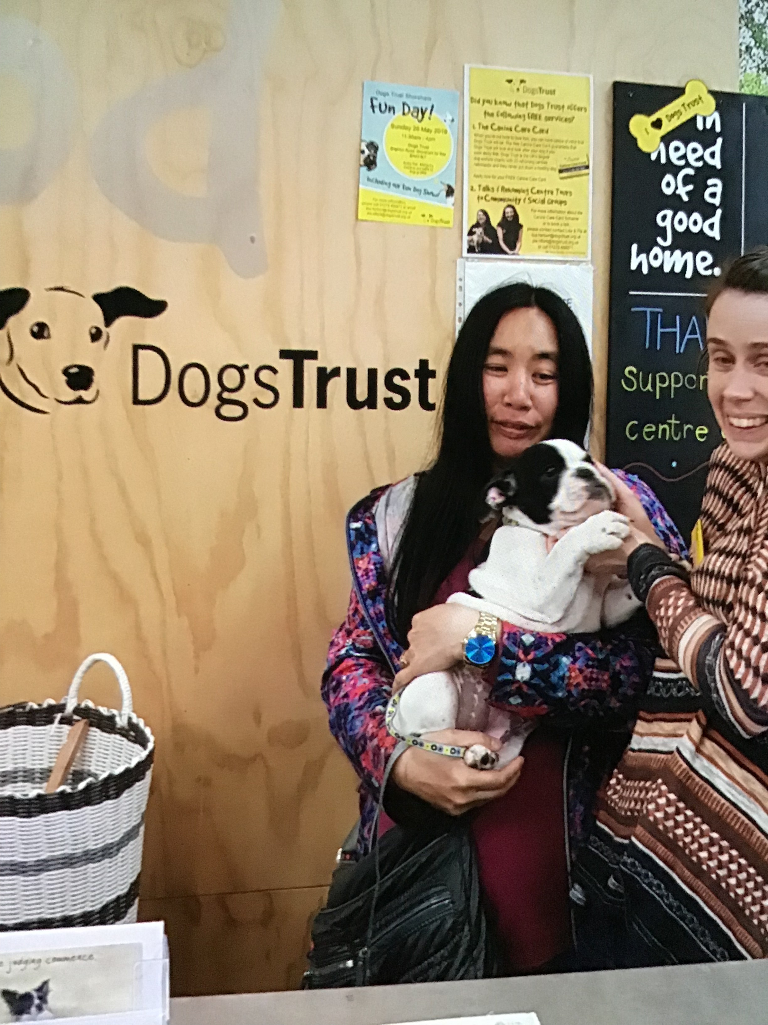 Our Dog charities need your compassion 2022 10 Our Dog charities need your compassion
