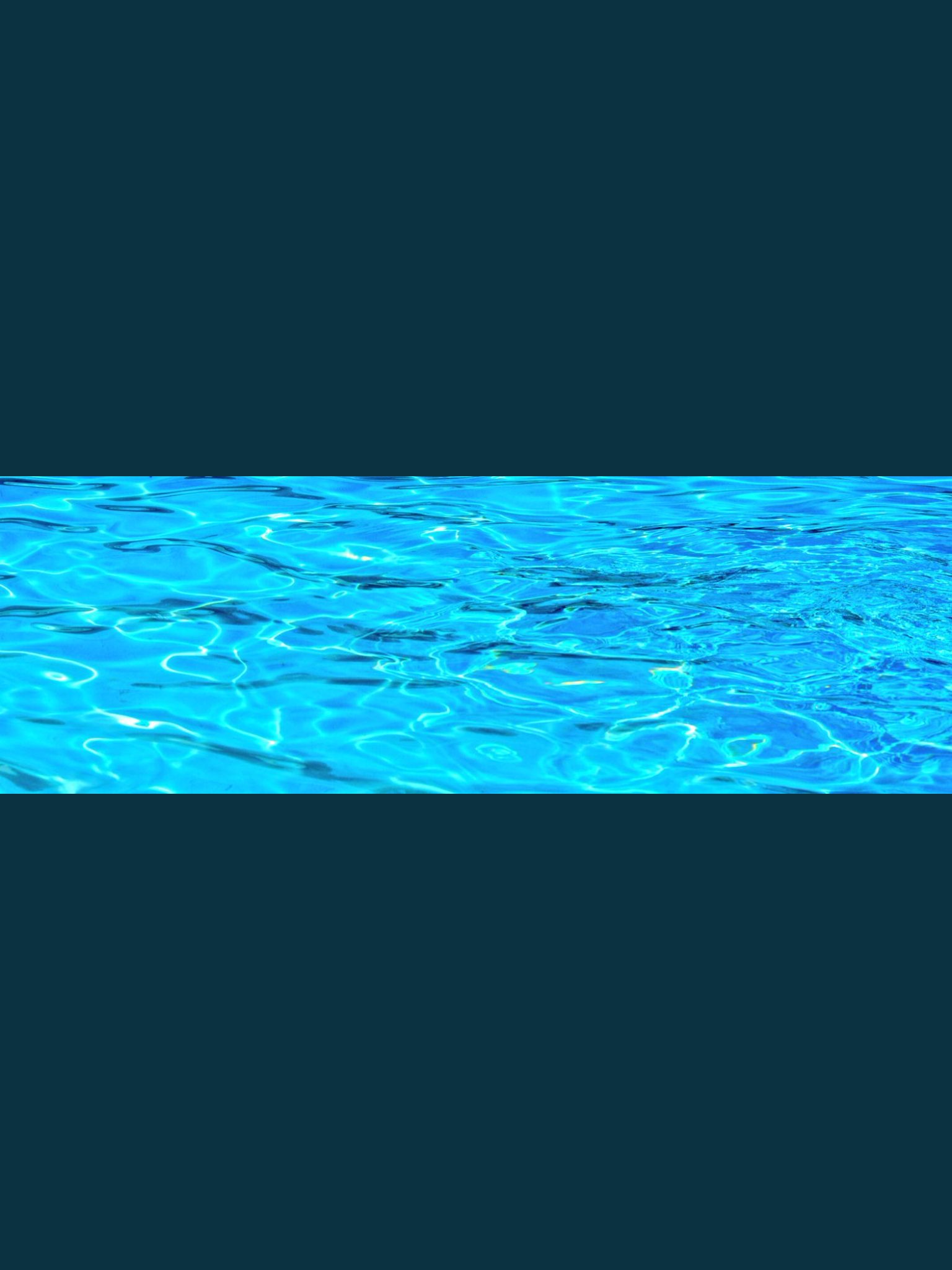 hydrotherapy for animals a guest post article 2022 3 Hydrotherapy a guest Post article