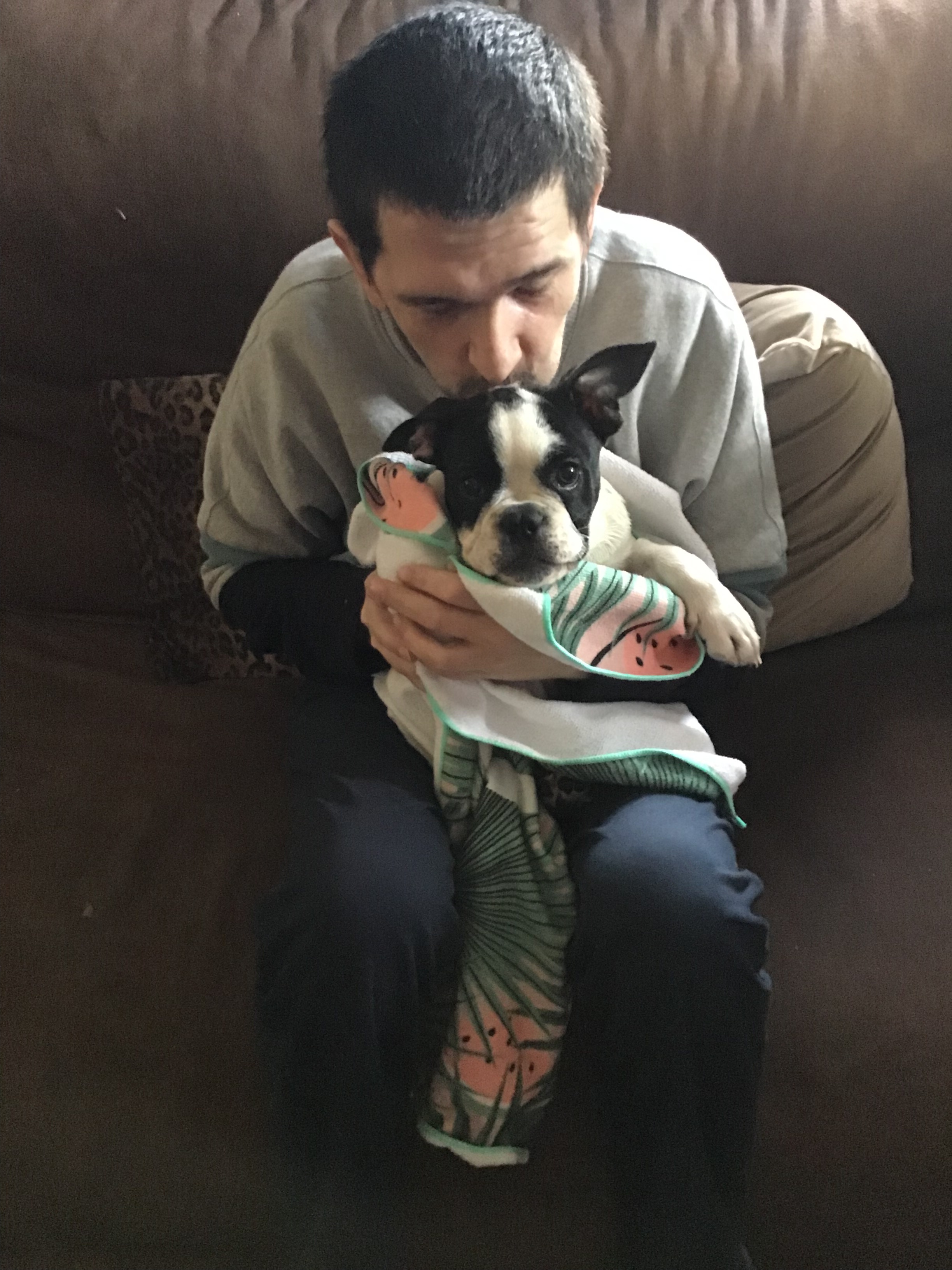 Puppies modern day miracle makers or myth 2022 9 Puppies modern day miracle makers or myth