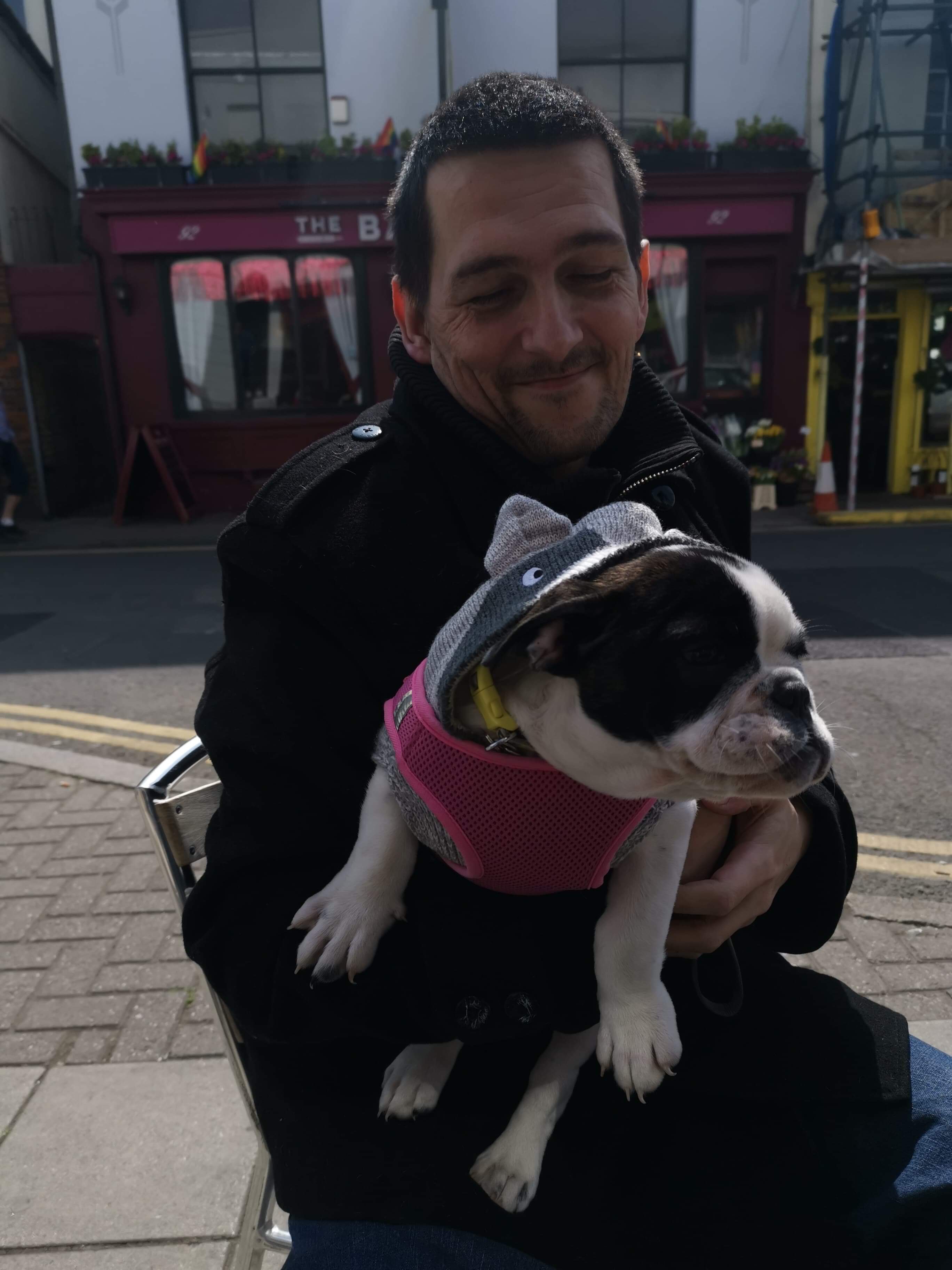 A PUPPY CALLED PORSCHA SAYS HELLO 2019 29 Collectibulldogs presents porscha the puppy