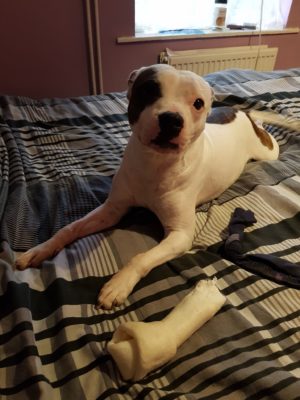 STAFFIE STIGMATISATION A GUEST POST STORY 2022 8 STAFFIE STIGMATISATION