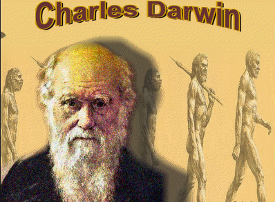 Darwin Darwin animal welfare advocate