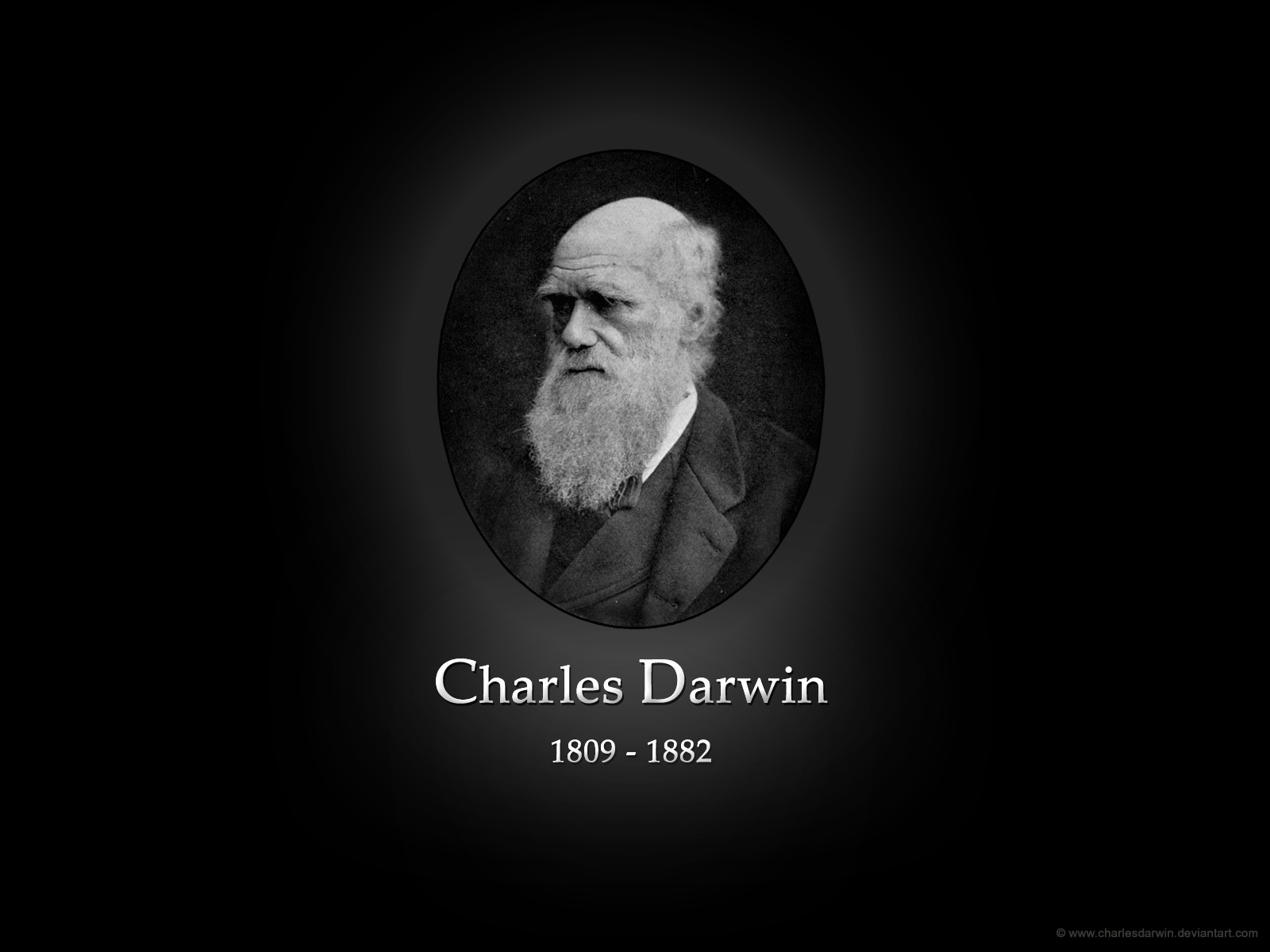 Darwin Darwin