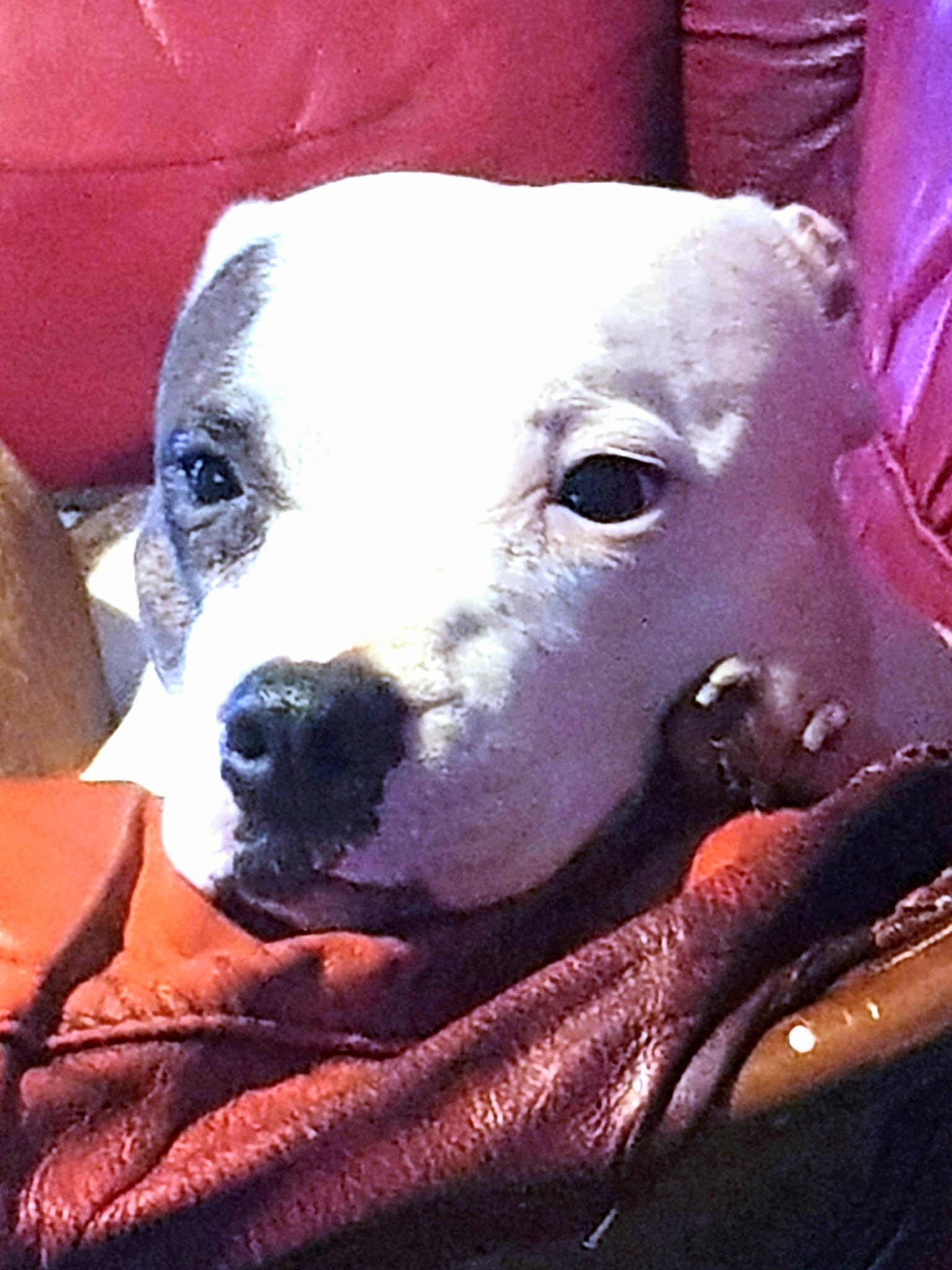 STAFFIE STIGMATISATION A GUEST POST STORY 2022 6 STAFFIE stigmatisation