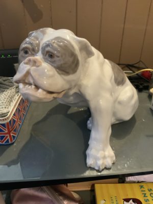 believe Its true we’ve created a WINNER update 2022 12 What ! Not a purebred representing