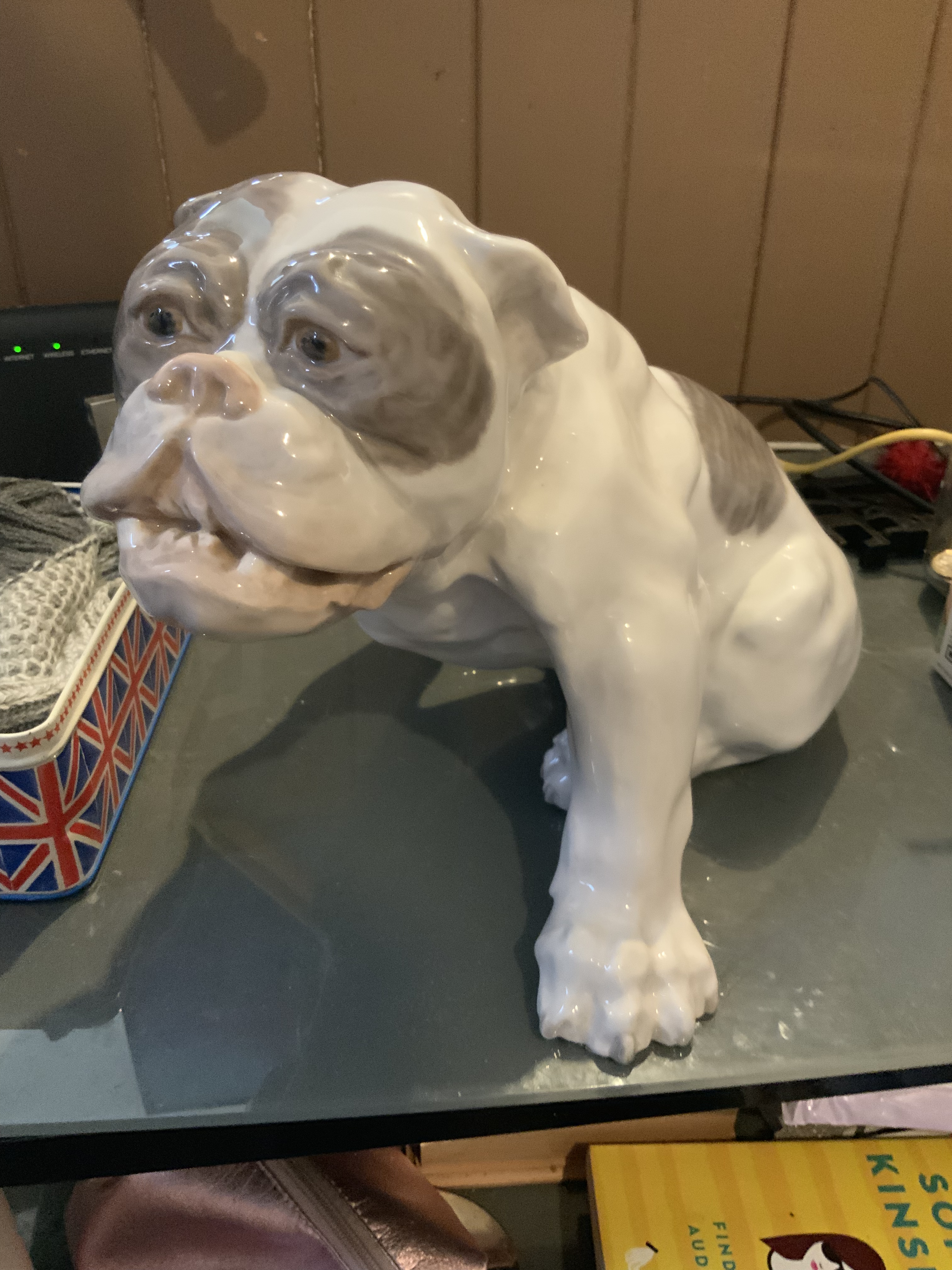 What ! Not a purebred representing update 2022 15 What ! Not a purebred representing