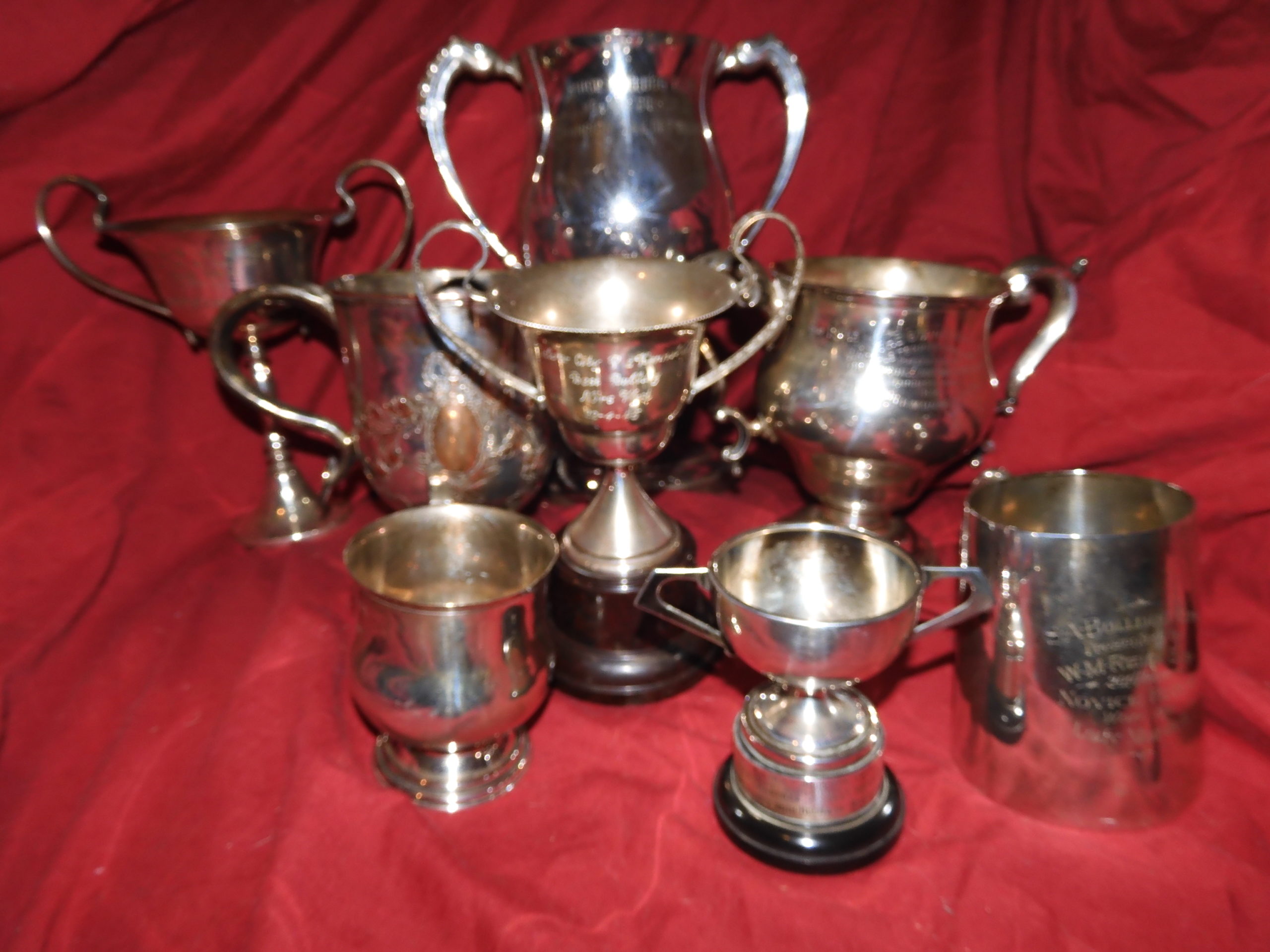 World Class Bulldog Collection – Museum Listed 6 Bulldog museum Brighton