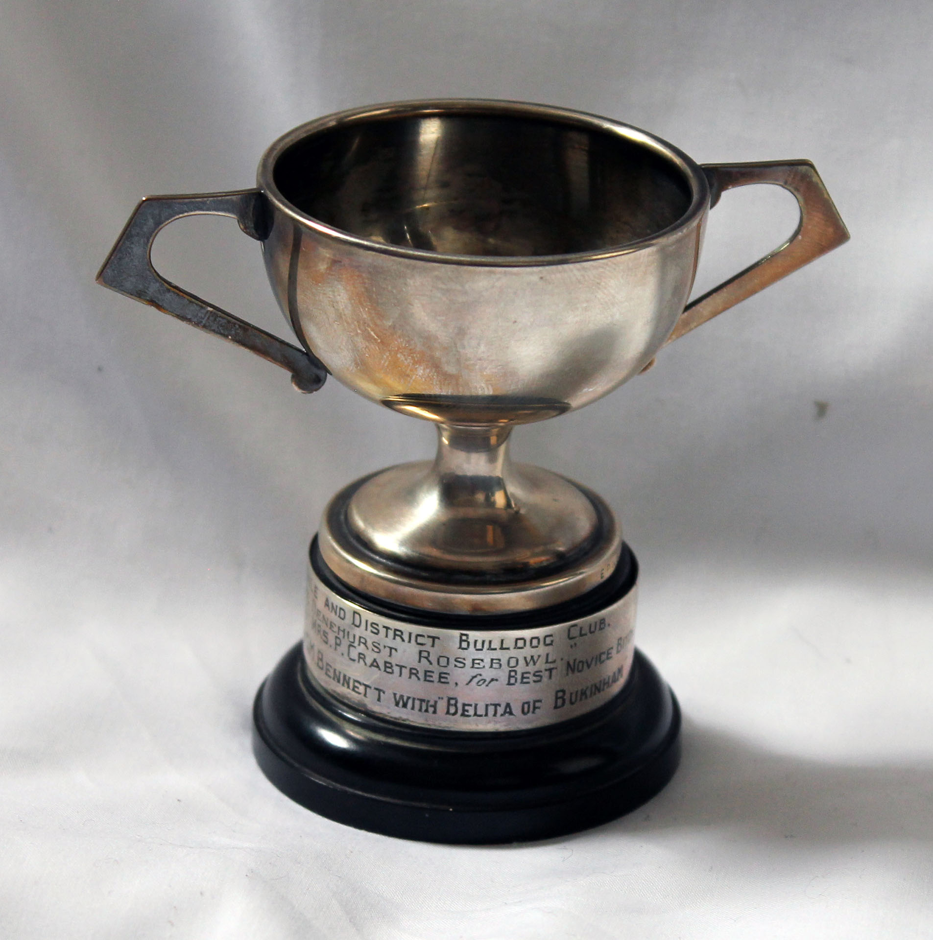 Award Winning Bulldog Memorabilia Collection 1 Bulldog museum Brighton