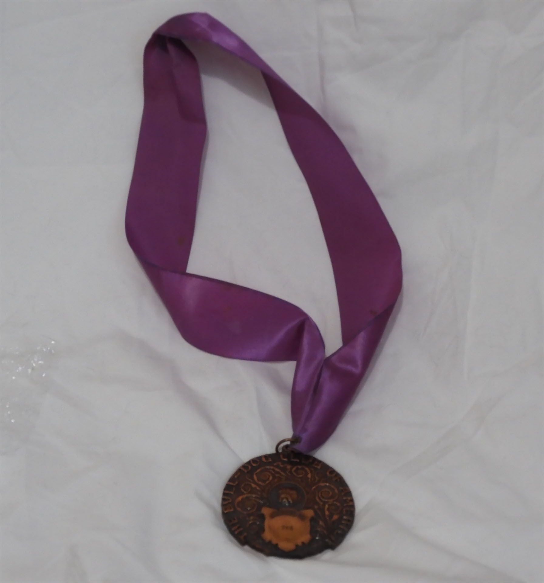 Award Winning Bulldog Memorabilia Collection 2 Bulldog museum Brighton