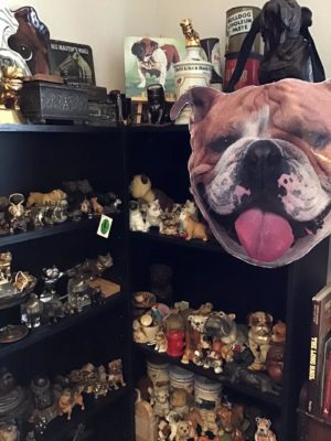 Bulldog museum Brighton