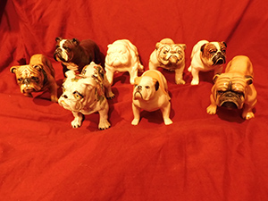 World Class Bulldog Collection – Museum Listed 7 Bulldog museum Brighton