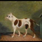 Victorian bulldog 