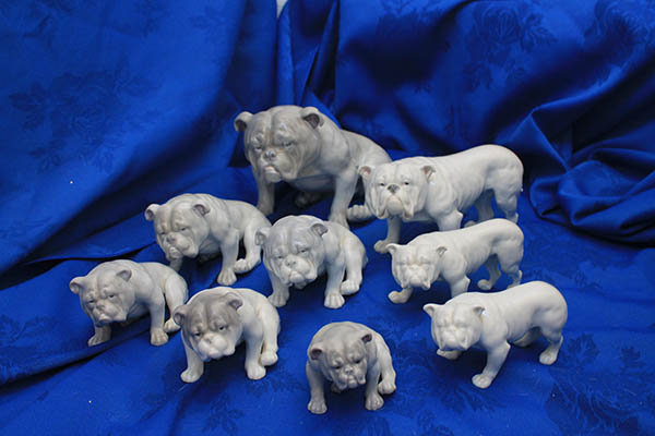 A selection of bulldog perfection 2022 34 Help us Bite back on social media