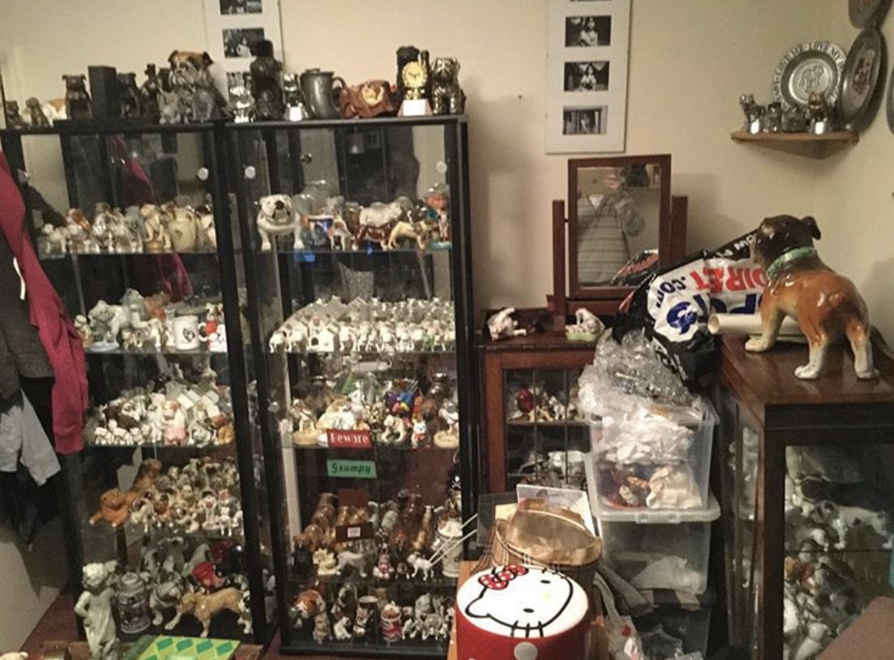 The collection is on the move AGAIN ! 2022 11 The collection is on the move AGAIN !