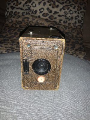 Ensign Bulldog Camera 