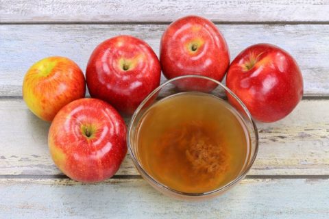 Guest Post - Apple Cider Vinegar for Dogs