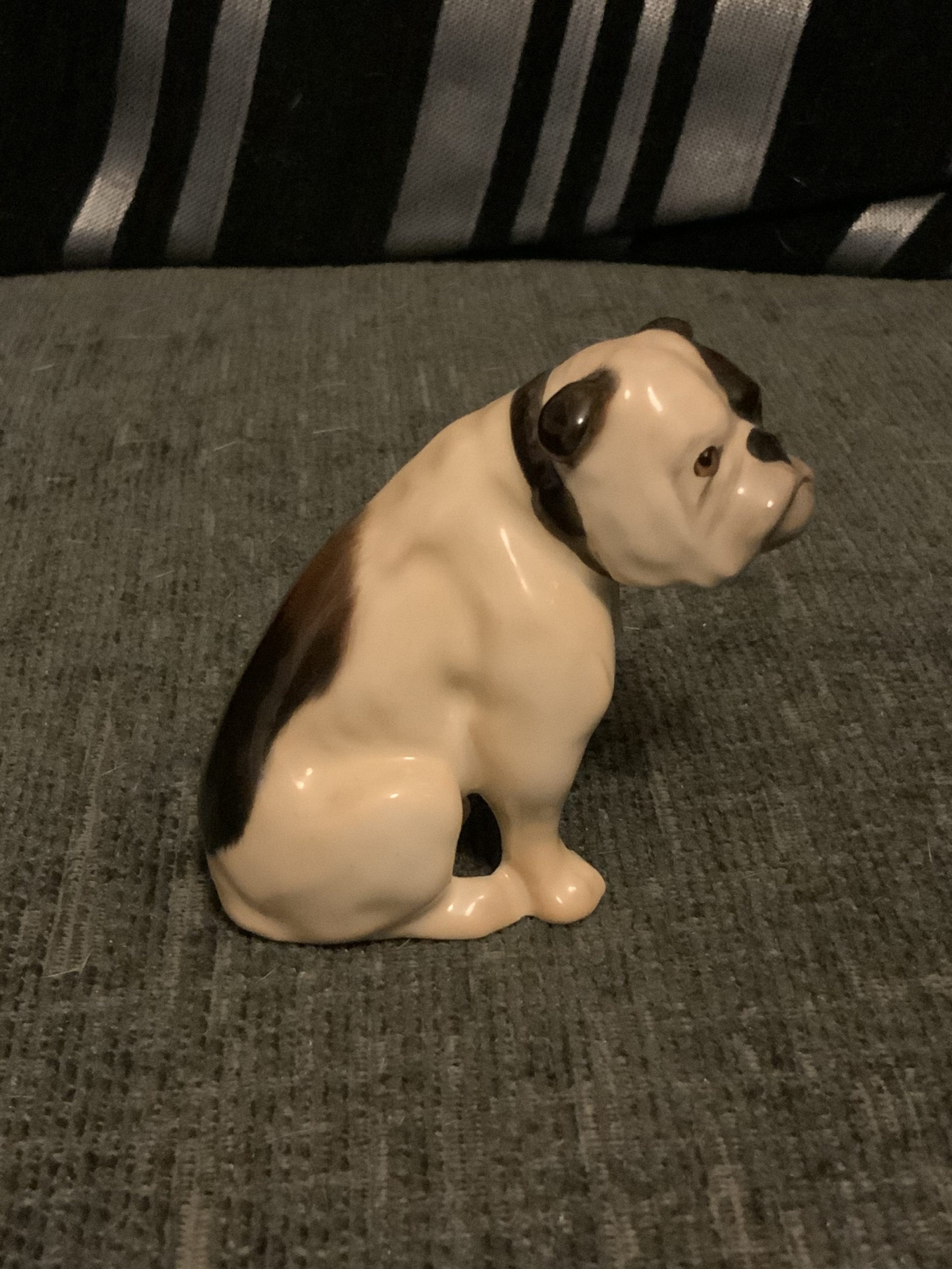 Brindle Bulldogs a beautiful fur patina 2022 42 Brindle Bulldogs a beautiful fur patina